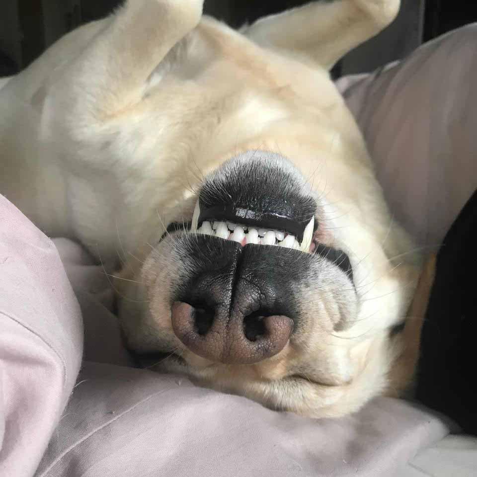 Marley